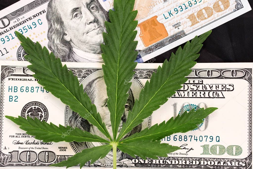 Money With Marijuana Leaf Close Up High Quality. Cannabis With Money Stock Photo