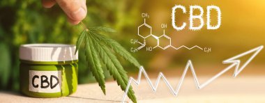 Cbd Cannabidiol formülünün kenevir kremi. İş Marihuana Le