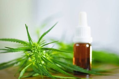 Bitkisel alternatif tıp kavramı, Cbd yağı. Cam şişeler.