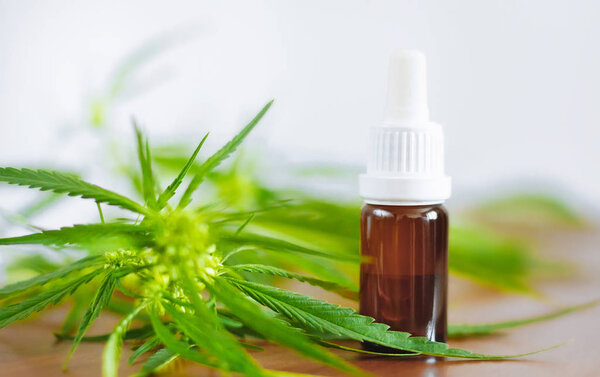Medicinal cannabis CBD with extract oil in a bottle. Concept of 