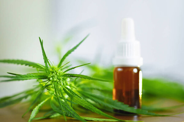 Concept of herbal alternative medicine, CBD oil. Glass bottles w