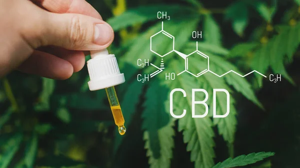 Co je to CBD