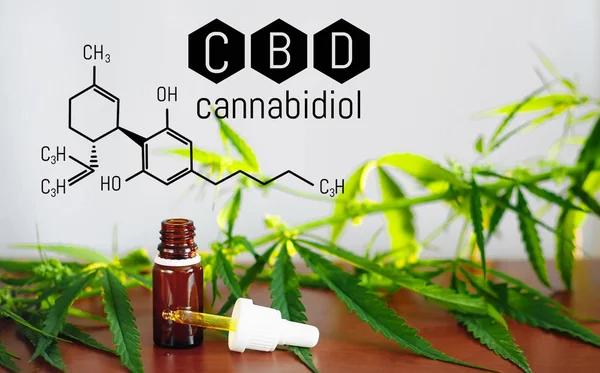 Huile de cannabis, huile de CBD extrait de cannabis, marijuana médicale. Médecin — Photo