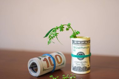 Esrar, finans, para ve esrar. Marihuana endüstrisinin gelirleri