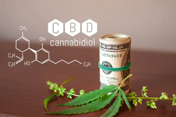 Fórmula CBD, Dólar americano en hojas de cannabis, Economía de él —  Fotos de Stock