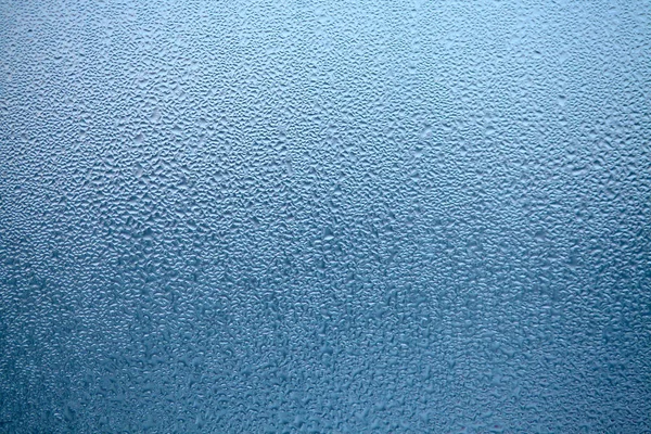Gotas de vapor condensado, gotas de agua. Detalle de cerca de hydru — Foto de Stock