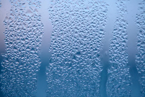 Gotas de vapor condensado, gotas de agua. Detalle de cerca de hydru — Foto de Stock