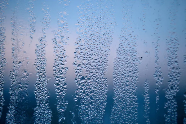 Gotas de vapor condensado, gotas de agua. Detalle de cerca de hydru —  Fotos de Stock