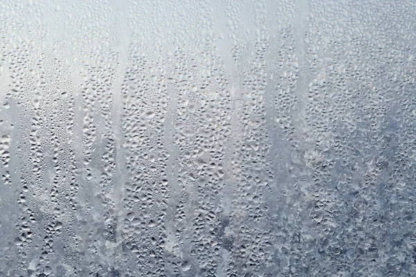 Textura de gotas congeladas de gotas de agua de vapor condensado en el tr —  Fotos de Stock