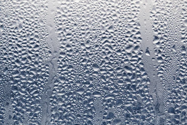 Textura de gotas congeladas de gotas de agua de vapor condensado en el tr — Foto de Stock