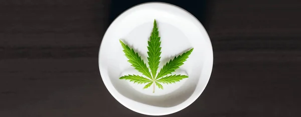 Bio Natürliches Cannabis Sahneblatt Cbd Panorama Mit Kopierraum Für Ihr — Stockfoto
