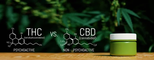 Marijuana Cbd vs Thc Poster with Scientific Formula, Cbd Elements and Thc in Marijuana and Medical Health, Cannabis Industry, Growing Hemp, Eczane Business