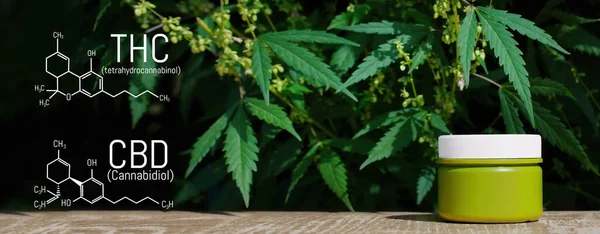 Cbd Thc Kimyasal Yapısal Formül, Kenevir Endüstrisi, Büyüyen kenevir, Eczacılık, Cbd Elementleri ve Marihuana ve Tıbbi Healde Thc