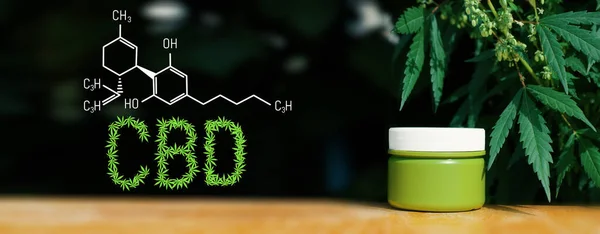 Fórmula Estructural Química Del Cannabis Del Cbd Industria Del Cannabis — Foto de Stock