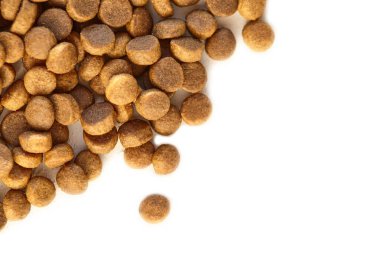 Evcil hayvanlar, kediler ve köpekler için beyaz izole edilmiş arka planda en iyi görünüm, Cannabidiol CBD içeriyor, tıbbi özellikleri ve tıbbi marihuana nedeniyle kullanılan tıbbi esrar bileşimi. Boşluğu kopyala