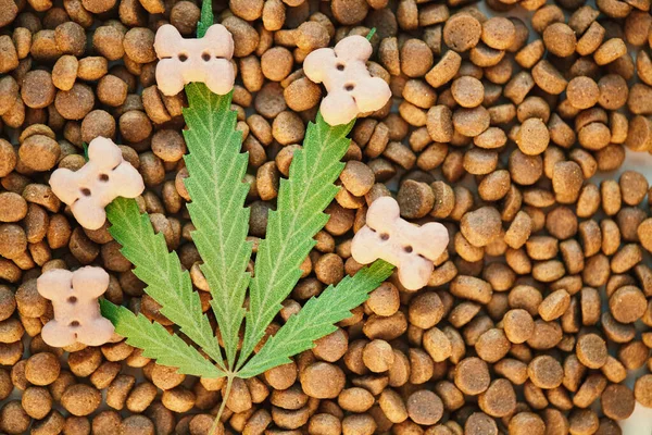 Dog and cat treats and cannabis leaves isolated over white background - CBD and medical marijuana for pets concept, Medical and recreational marijuana and cannabis