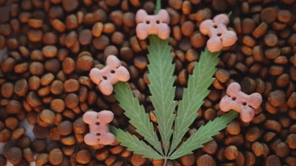 Grünes Cannabisblatt Von Oben Auf Tierfutter Cbd Für Katzen Und — Stockvideo