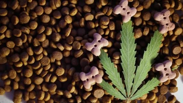 Vue Dessus Feuille Verte Cannabis Sur Traiter Les Aliments Pour — Video