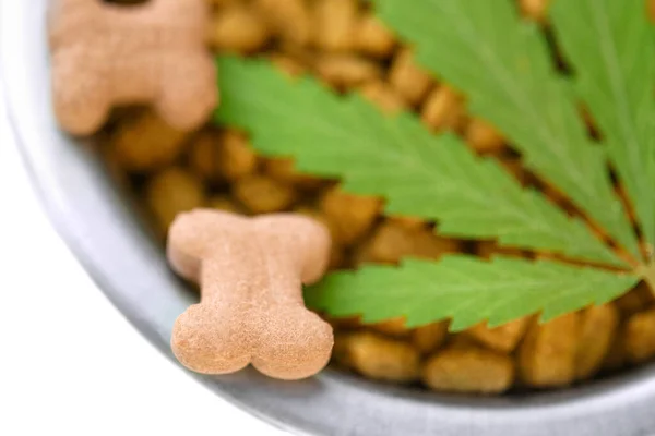 Koncepcja Medycznej Marihuany Dla Zwierząt Domowych Pies Konopny Prawne Zastosowania — Zdjęcie stockowe