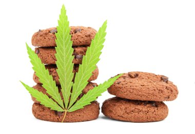Kenevir CBD Cannabidiol ve kenevir otu pişiriyorum. Esrar yapraklı çerezler. Yemekte kullanmak için tıbbi marihuana. Tıbbî Yenilebilir. Uruguay ve Kanada 'da Tam Yasal