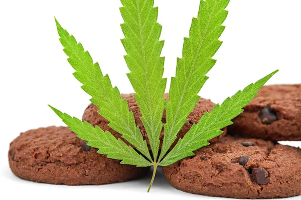 用大麻药草烹调大麻Cbd大麻酚 用大麻叶片做的饼干 用于食品的医用大麻 药典编辑 乌拉圭和加拿大的完全合法化 — 图库照片