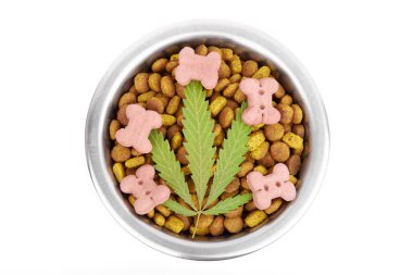 Hayvan yemi kavramı, CBD yağı ve kenevir içeren vitaminler. Cannabidiol ve evcil hayvan. Cannabinoid CBD yağı beslenme takviyesi olarak kullanılır. Marijuana ürünleri izole edilmiş beyaz arkaplan