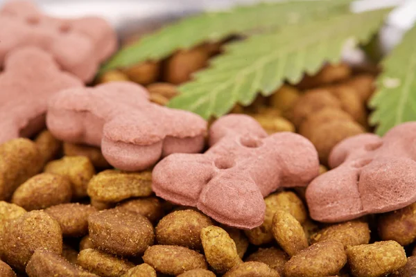 Concept Animal Feed Vitamins Cbd Oil Cannabis Cannabidiol Pet Cannabinoid — Stock Photo, Image