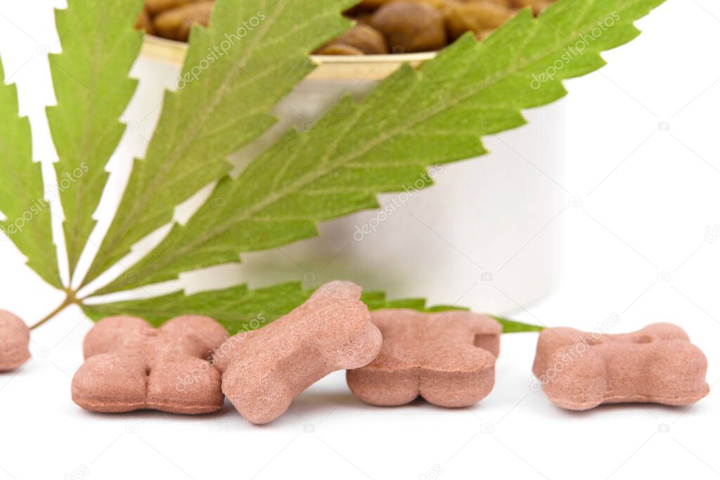 Concept of animal feed, vitamins with CBD oil and cannabis. Cannabidiol with the pet. Cannabinoid CBD oil is used as a dietary supplement. Marijuana products isolated white background