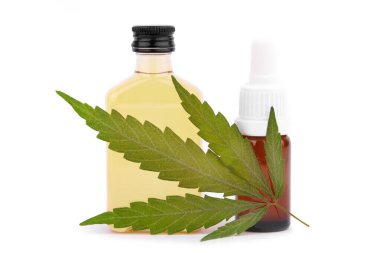 Terpene, CBD 'ye yağ eklemek için kenevir içeriyor. Oldukça saflaştırılmış, neredeyse saf CBD ürünü, damıtılmış. Köpek maması ve kenevir yaprakları beyaz arkaplan üzerinde izole