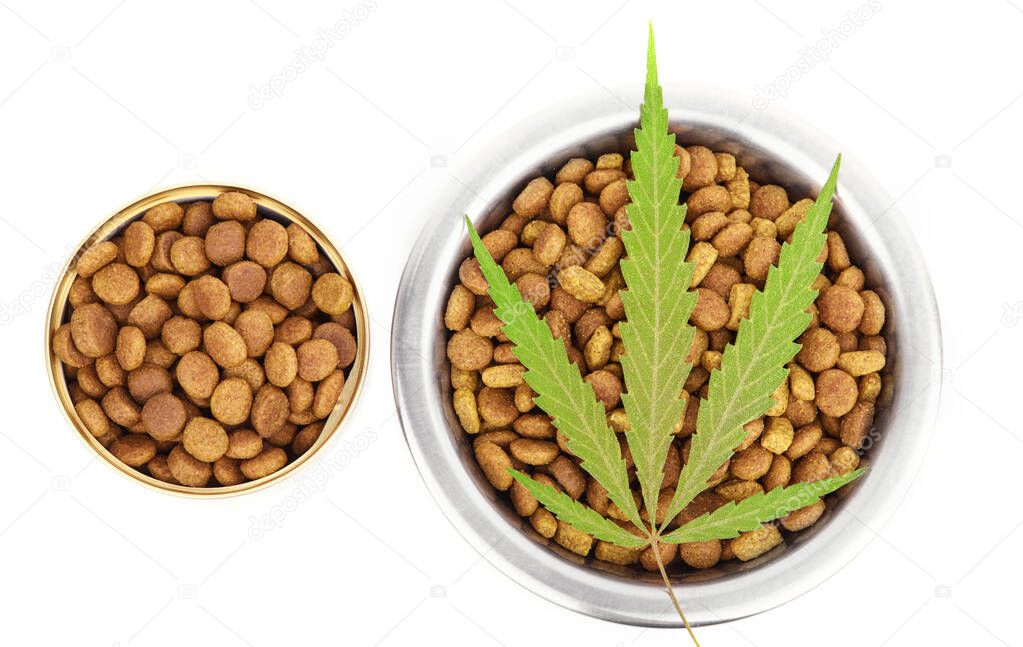 Food CBD pet, vitamins with CBD oil, cannabis of animal feed.  Green hemp products isolated white background. Cannabidiol oil is used as a dietary supplement
