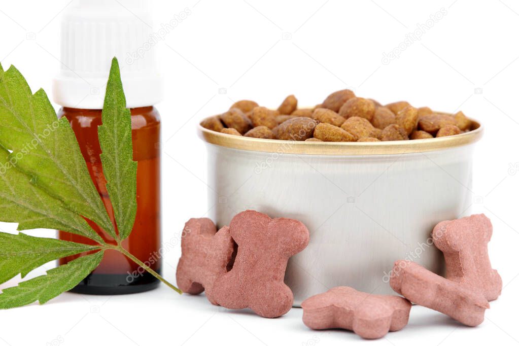 Terpene contains in hemp to add oil to the CBD. Highly purified, almost pure CBD product, distillate. Dog treats and cannabis leaves isolated over white background