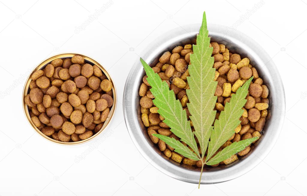 Terpene contains in hemp to add oil to the CBD. Highly purified, almost pure CBD product, distillate. Dog treats and cannabis leaves isolated over white background
