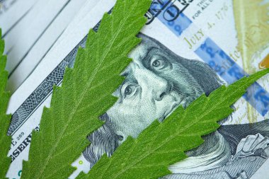 Esrar yaprakları üzerine Amerikan Doları. Vergi ve marihuana vergisi, ot, para ve ot vergisi. Kenevir finansmanı. Marihuana endüstrisinin ve tıp endüstrisinin geliri. Kenevir endüstrisinin ekonomisi