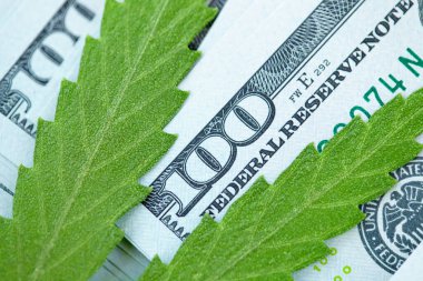 Marihuana ve tıp endüstrisinden gelen gelir kavramı kenevir endüstrisinin ekonomisi. Kenevir yaprağına Amerikan doları. Vergi ve marihuana, ot vergisi