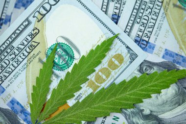 Esrar yaprakları üzerine Amerikan Doları. Vergi ve marihuana vergisi, ot, para ve ot vergisi. Kenevir finansmanı. Marihuana endüstrisinin ve tıp endüstrisinin geliri. Kenevir endüstrisinin ekonomisi