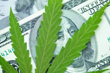Marihuana ve tıp endüstrisinden gelen gelir kavramı kenevir endüstrisinin ekonomisi. Kenevir yaprağına Amerikan doları. Vergi ve marihuana, ot vergisi