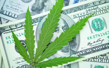 Esrar yaprakları üzerine Amerikan Doları. Vergi ve marihuana vergisi, ot, para ve ot vergisi. Kenevir finansmanı. Marihuana endüstrisinin ve tıp endüstrisinin geliri. Kenevir endüstrisinin ekonomisi