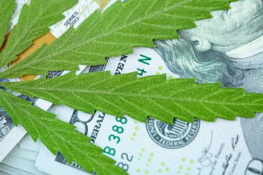 Marihuana ve tıp endüstrisinden gelen gelir kavramı kenevir endüstrisinin ekonomisi. Kenevir yaprağına Amerikan doları. Vergi ve marihuana, ot vergisi