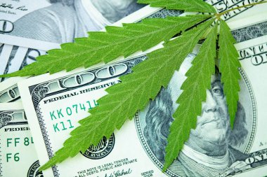 Marihuana ve tıp endüstrisinden gelen gelir kavramı kenevir endüstrisinin ekonomisi. Kenevir yaprağına Amerikan doları. Vergi ve marihuana, ot vergisi