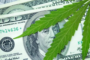 Marihuana ve tıp endüstrisinden gelen gelir kavramı kenevir endüstrisinin ekonomisi. Kenevir yaprağına Amerikan doları. Vergi ve marihuana, ot vergisi