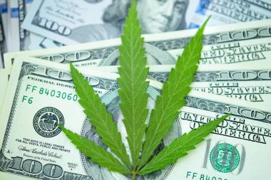 Marihuana ve tıp endüstrisinden gelen gelir kavramı kenevir endüstrisinin ekonomisi. Kenevir yaprağına Amerikan doları. Vergi ve marihuana, ot vergisi