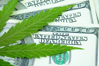 Esrar yaprakları üzerine Amerikan Doları. Vergi ve marihuana vergisi, ot, para ve ot vergisi. Kenevir finansmanı. Marihuana endüstrisinin ve tıp endüstrisinin geliri. Kenevir endüstrisinin ekonomisi