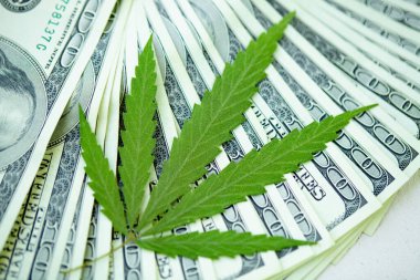 Marihuana ve tıp endüstrisinden gelen gelir kavramı kenevir endüstrisinin ekonomisi. Kenevir yaprağına Amerikan doları. Vergi ve marihuana, ot vergisi
