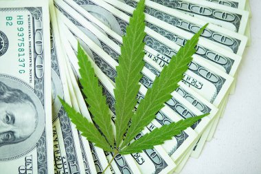 Marihuana ve tıp endüstrisinden gelen gelir kavramı kenevir endüstrisinin ekonomisi. Kenevir yaprağına Amerikan doları. Vergi ve marihuana, ot vergisi