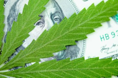 Marihuana ve tıp endüstrisinden gelen gelir kavramı kenevir endüstrisinin ekonomisi. Kenevir yaprağına Amerikan doları. Vergi ve marihuana, ot vergisi