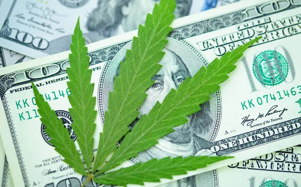 Esrar yaprakları üzerine Amerikan Doları. Vergi ve marihuana vergisi, ot, para ve ot vergisi. Kenevir finansmanı. Marihuana endüstrisinin ve tıp endüstrisinin geliri. Kenevir endüstrisinin ekonomisi