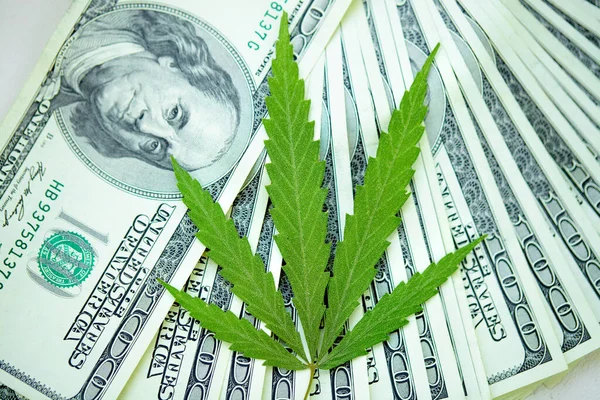 Esrar yaprakları üzerine Amerikan Doları. Vergi ve marihuana vergisi, ot, para ve ot vergisi. Kenevir finansmanı. Marihuana endüstrisinin ve tıp endüstrisinin geliri. Kenevir endüstrisinin ekonomisi