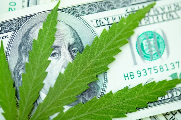 Koncepcja Dochodu Marihuany Przemysłu Medycznego Ekonomii Przemysłu Konopnego Amerykański Dolar — Zdjęcie stockowe