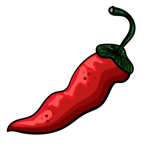 Pimenta picante vermelha. Doodles isolados. Cozinha vegetariana. Ilustração botânica do pimentão. - Vector — Vetor de Stock