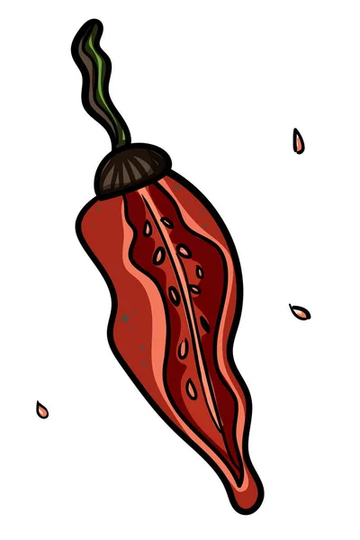 Červený pálivý chilli pepř. Izolované čmáranice. Vegetariánská kuchyně. Botanická ilustrace chilli papričky. - Vektor — Stockový vektor